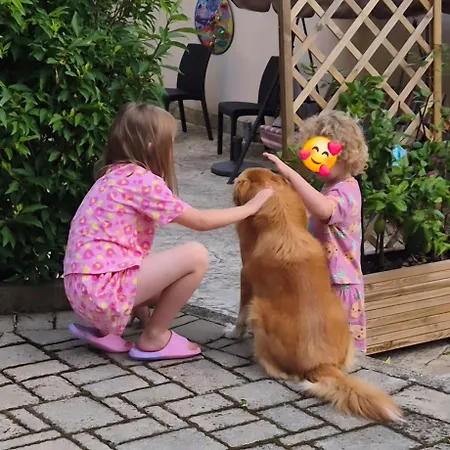 Casa & Joy *